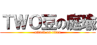 ＴＷＯ豆の庭瑜 (attack on titan)