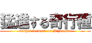 猛進する奇行種 (dashes forward on Mizunuma)