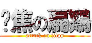 烧焦の扁鷄 (attack on titan)