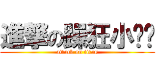 進撃の躁狂小队长 (attack on titan)