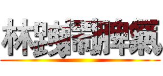 林跩鬧脾氣 ()