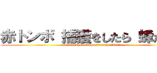 赤トンボ 捕獲をしたら 蜂だった (akatonbohokakuwositarahatidatta)