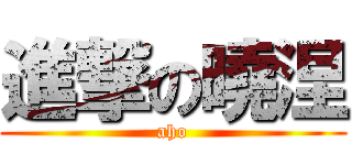 進撃の曉涅 (aho)