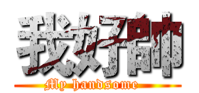 我好帥 (My handsome  )