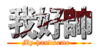 我好帥 (My handsome  )