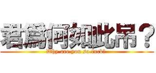 君爲何如此吊？ (Why are you so fuck？ )