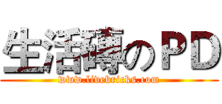生活磚のＰＤ (www.livebricks.com)