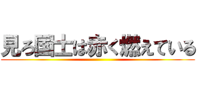 見ろ国士は赤く燃えている ()