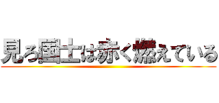 見ろ国士は赤く燃えている ()