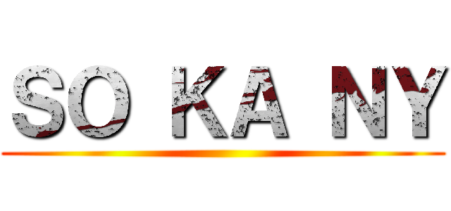 ＳＯ ＫＡ ＮＹ ()