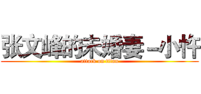 张文峰的未婚妻－小忤 (attack on titan)