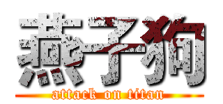 燕子狗 (attack on titan)