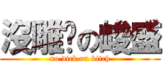 沒雕屌の峻盛 (no dick on bitch)
