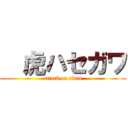   虎ハセガワ (attack on titan)