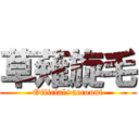 草薙旋毛 (Official+account)