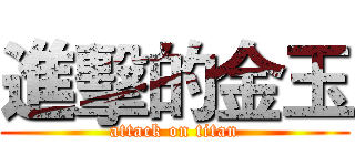 進擊的金玉 (attack on titan)