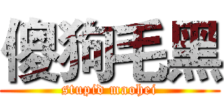 傻狗毛黑 (stupid maohei)