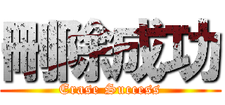 刪除成功 (Erase Success)