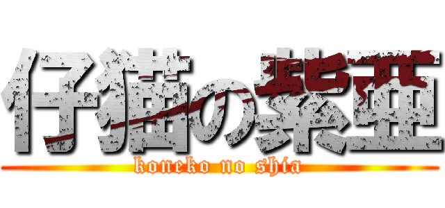 仔猫の紫亜 (koneko no shia)