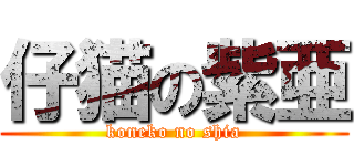 仔猫の紫亜 (koneko no shia)