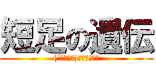 短足の遺伝 ((´・ω・｀)ｼｮﾎﾞｰﾝ)