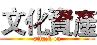 文化資產 (attack on)