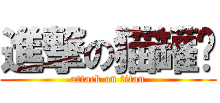 進撃の猫罐头 (attack on titan)