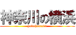 神奈川の横浜 (yokohama01)