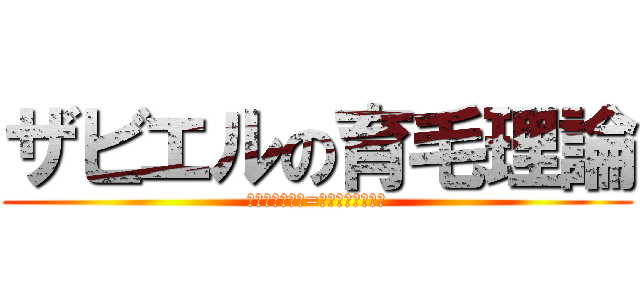 ザビエルの育毛理論 (ーフランシスコ=ザビエルの悲劇ー)