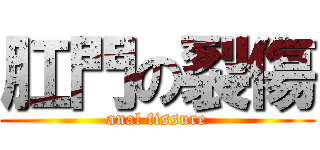 肛門の裂傷 (anal fissure)