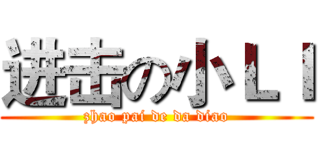 进击の小ＬＩ (zhao pai de da diao)