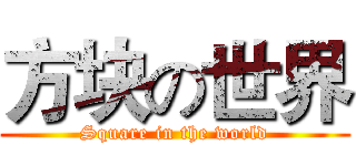 方块の世界 (Square in the world)