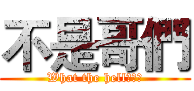 不是哥們 (What the hell???)