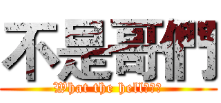 不是哥們 (What the hell???)