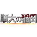 順大の稲田 (juntendo on inada)