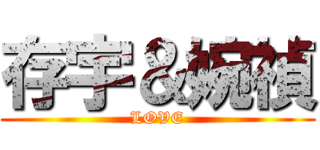 存宇＆婉禎 (LOVE)