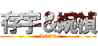 存宇＆婉禎 (LOVE)