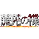 蓅茪の褋 (attack on Victorique)