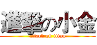 進擊の小金 (attack on titan)