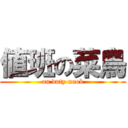 値班の菜鳥 (on duty noob)