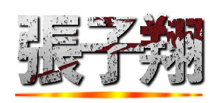 張子翔 ()