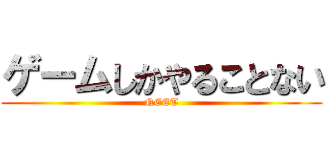 ゲームしかやることない (NEET)