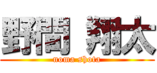 野間 翔太 (noma shota)