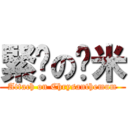 緊雞の宭米 (Attach on Chrysanthemum)