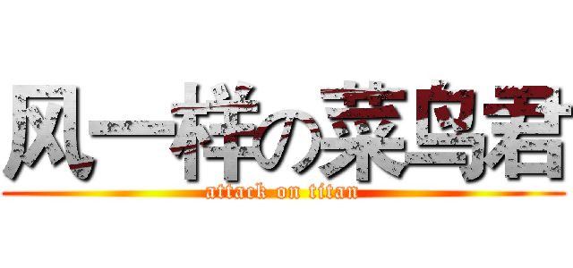风一样の菜鸟君 (attack on titan)