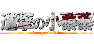 進撃の小蓁蓁 (l,m genius!!!)