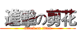  進擊の剪花 (attack on titan)