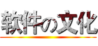 软件の文化 ()