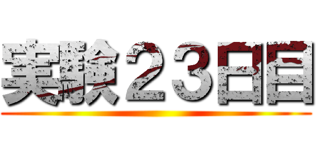 実験２３日目 ()