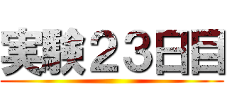 実験２３日目 ()